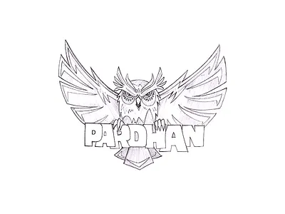 Pardhan Sketch draw owl sketch pencil sketch sketch sketching unique sketch