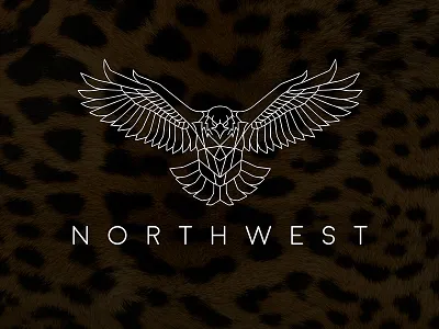 This logo is designed by me for Northwest LLC