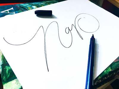 Nap brand calligraphy custom flow idea identity lettering line logo nap script type