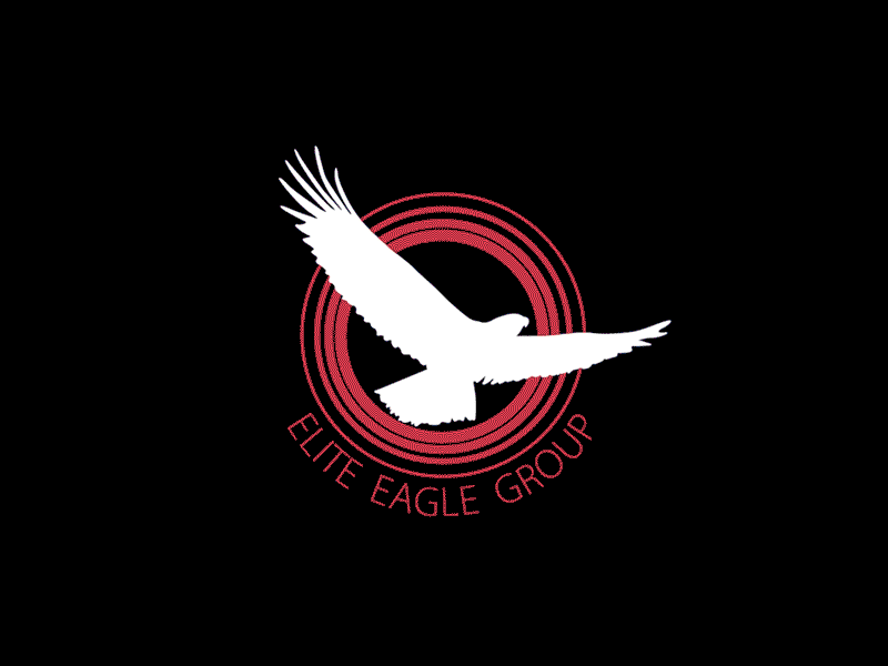 Elite Eagle Group logo Intro graphic design logo design