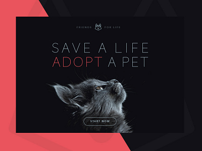 Adopt a pet 2d architecture design minimalist web website