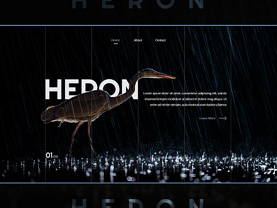 Heron concept ideas ui user interface visual design web