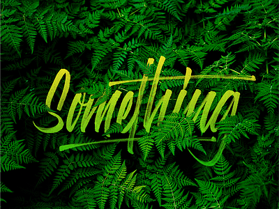 Something analog digital handlettering lettering poster type unsplash