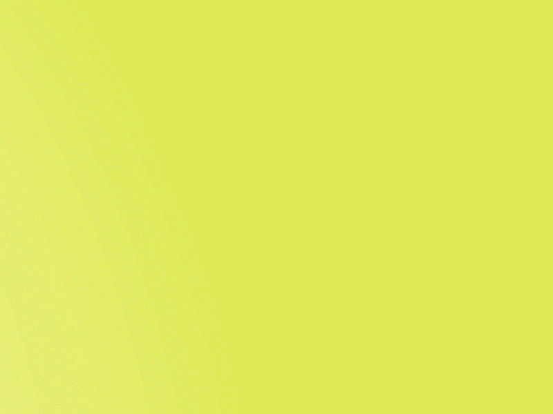 Sun Flowers 2d aftereffects animation flowers sun yellow