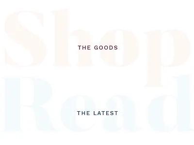 Heading Pairs blog bold brand branding chunky clean feminine lifestyle sans serif type typography