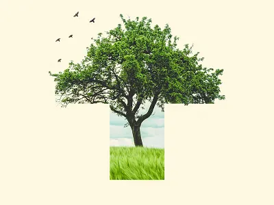 T — 36 Days of Type 36 days of type birds collage lettering nature photo collage photoshop t tree type typography