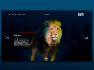 Web for Eurogroup for animals_Page1 argentina brazil creative design designer graphics interactive pages red ui ux web