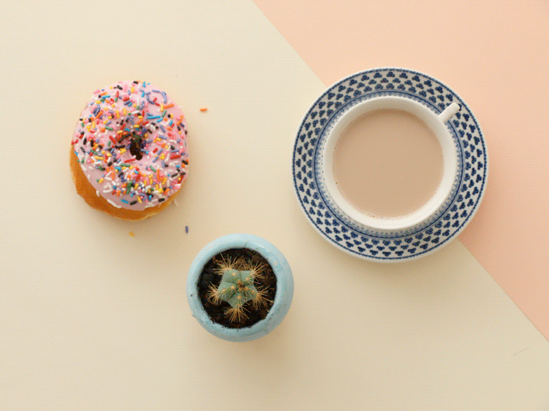 Yumm cactus chai donut fun gif pink yum