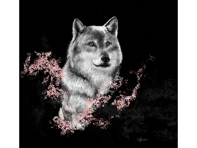 Spirits art digital photoshop