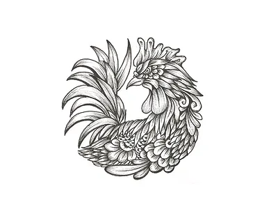 Hen Sketch draw hen sketch pencil sketch sketch sketching unique sketch