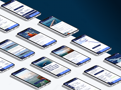 Zim Mobile version corporate interface mobile sketch uxui website