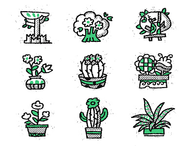 Plant illustration illustration