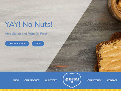 Chixi Chickpea Spread e commerce web design wordpress