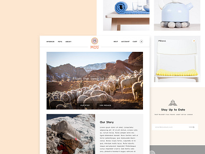 Moti #2 branding ecommerce rugs ui