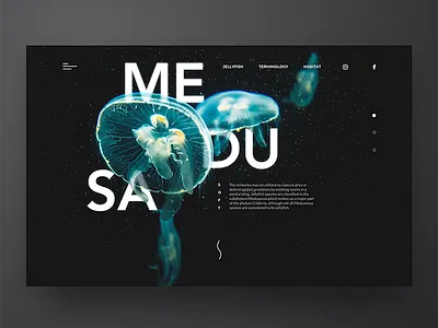 MEDUSA Landing page blue dark header inspiration jellyfish landing page medusa sea ui