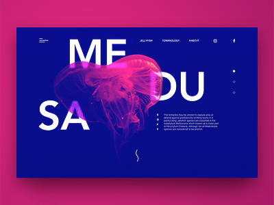 MEDUSA Landing page blue dark header inspiration jellyfish landing page medusa pink sea ui