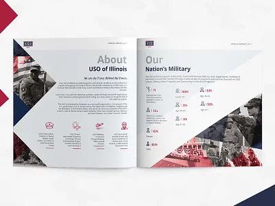 Anual Report annual report brochure flyer graphics uk usa