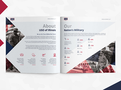 Anual Report annual report brochure flyer graphics uk usa