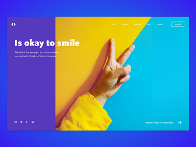 Daily Landing Page Smile 2d adobexd dailyui illustrator photoshop ui uiux ux web adobe landing page