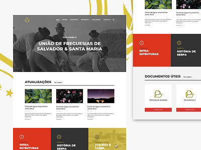 Dribbble Junta corporate parish council portugal tourism town hall web design website wordpress