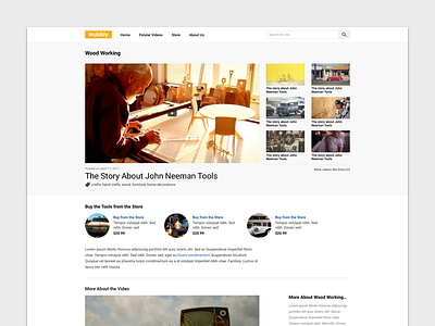 Wuickly - Video Blog website design website ui