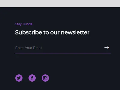 Iconic Footer Sneap Peak footer purple social links subscribe subscription web design