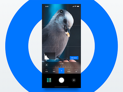 Adventure Camera app apple camera filters photography picture ui ux video