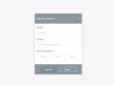 Sign In Screen / edit for Web Application dailyui design enterprise illustration login platform screen sign ui up ux website