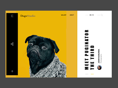 Dogo studio collection dog gallery landing page pet photography studio ui