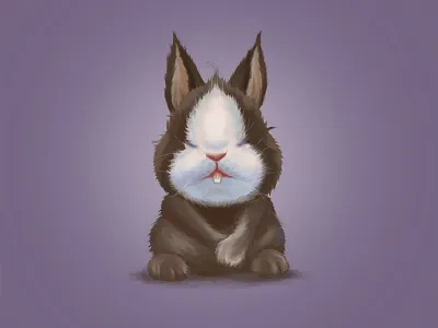 rabbit