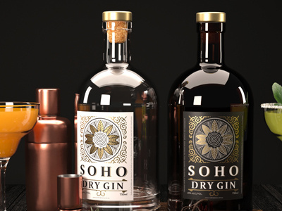 Dry Gin Package Design 3d design package design