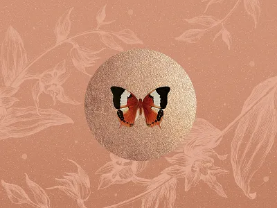 Papillon botanical butterfly gold illustration nude texture