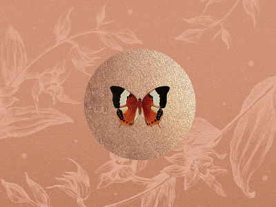 Papillon botanical butterfly gold illustration nude texture
