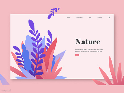 Web Template : Nature design flower illustration mockup nature pink template ui vector web web design website