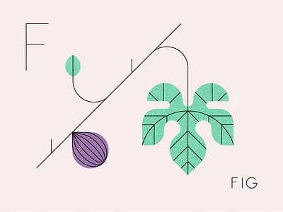 Fig design fig fruit illustration los angeles nature produce summer tree typography ui visual design