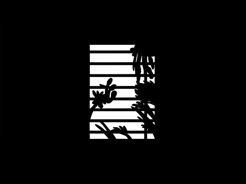 Window Shadows animation black and white bw gif line loop looping plants shadow window