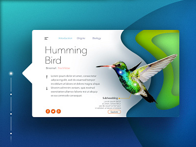 Hummingbird Rebound interaction rebound ui design ux design