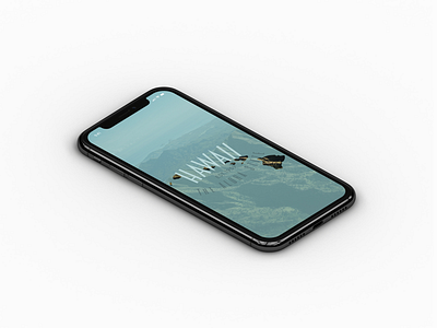 Hawaii hawaii mock up nature outdoors screensaver state