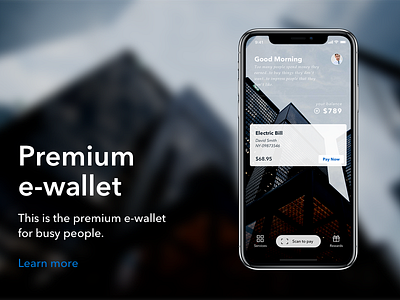 Premium Ewallet account bill business ewallet home pay payment premium wallet