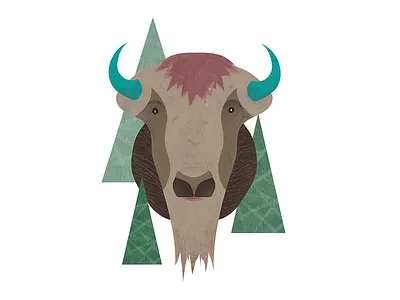 bison animal bison illustration