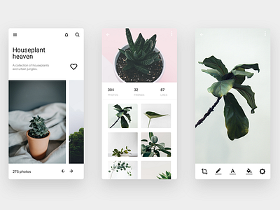 Minimalism App app minimalism nature ui ux