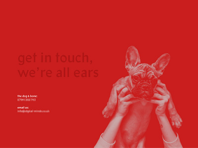 Get In Touch contact contact page copywriting dog minimal red website