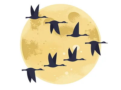 Moonlight Migration animals autumn birding birds illustration moon nature nocturnal spot illustration wildlife