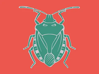 Stink Boy bug insect smelly stink stink bug