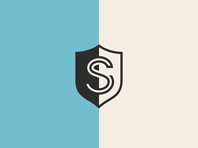 Primary Mark & Color Exploration brand branding design exploration icon identity logo mark monogram visual