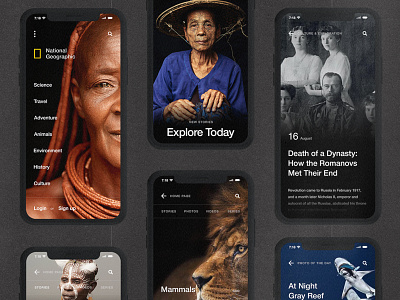 National Geographic animal animation black interaction minimal motion ui ux web