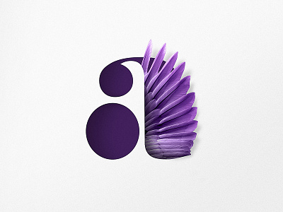 A a appicon feathers icon purple shopify sleek