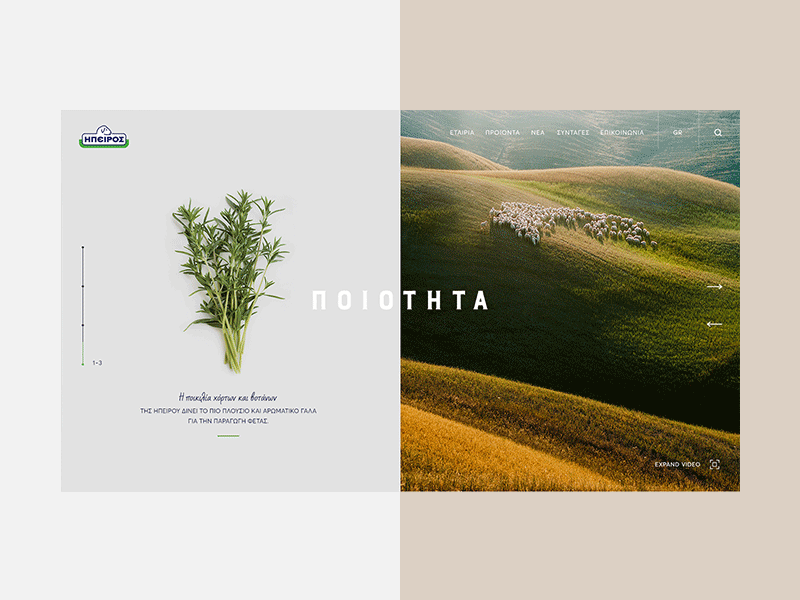 Epirus Website cheese design epirus greece homepage milk product ui ux website