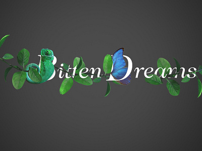 Bittendreams Cover dreams dribbble dribble invite graphic design hunt invites pray