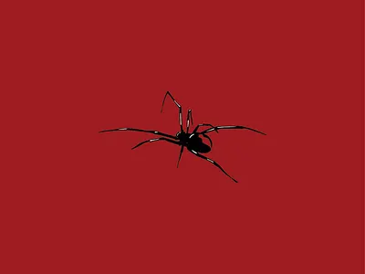 Black Widow animal arachnid color icon illustrator insect minimal spider vector venemous